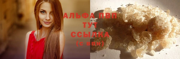 тгк Балахна