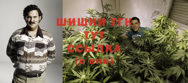 тгк Балахна