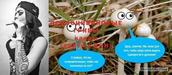 тгк Балахна