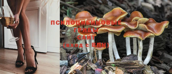 тгк Балахна